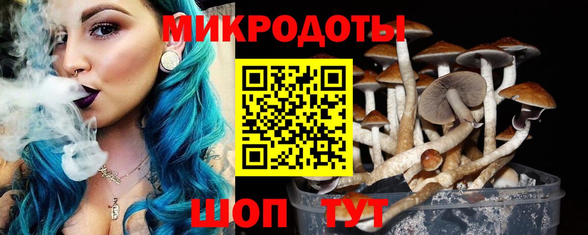 Галлюциногенные грибы Psilocybe Ростов-на-Дону